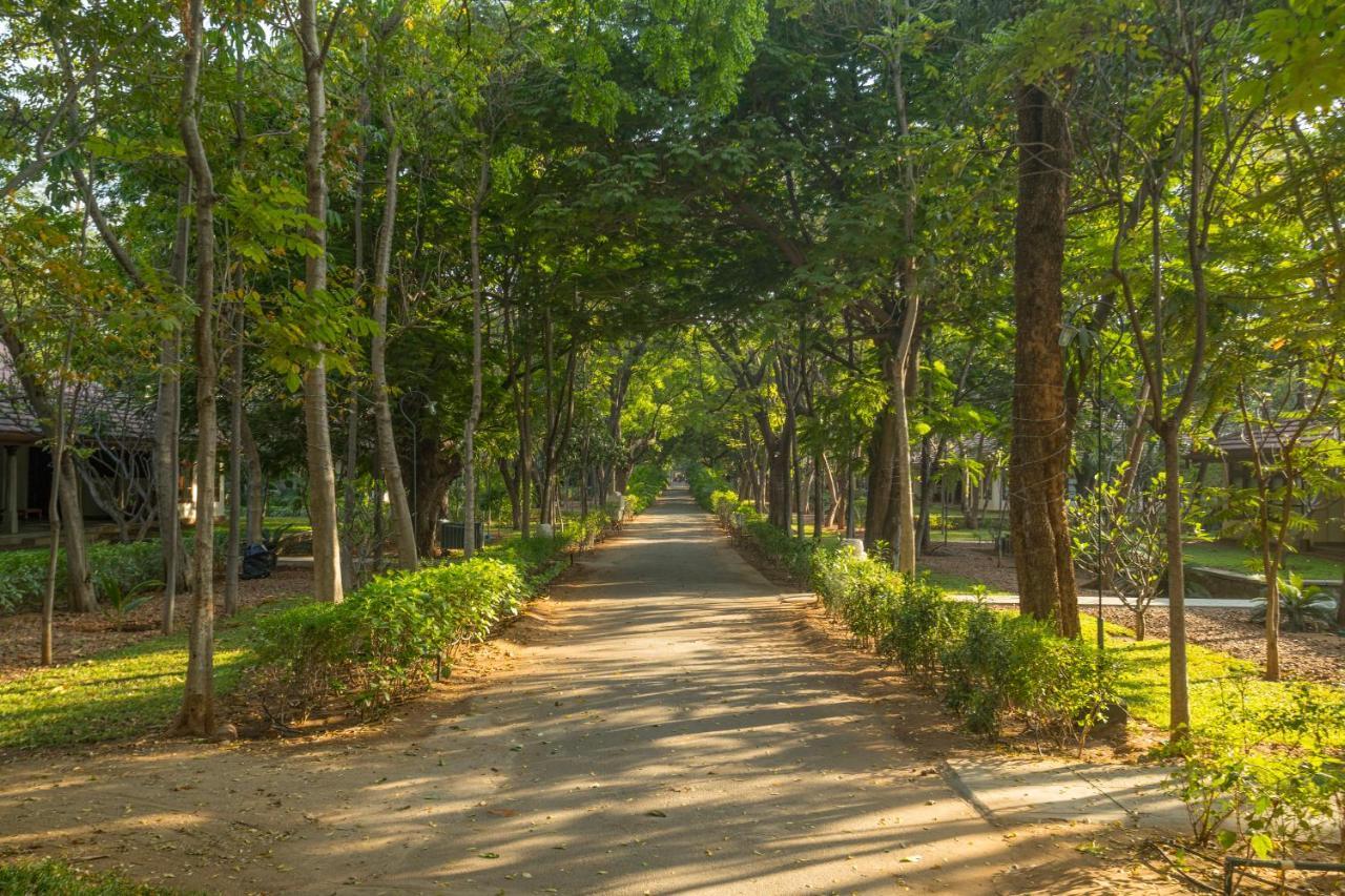 Heritage Madurai Ngoại thất bức ảnh A road in the park